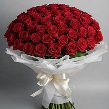 Букет 101 Красная роза Блэк Мэджик в Танцырее