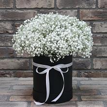 Цветочная композиция из Гипсофила в шляпной коробке в Танцырее