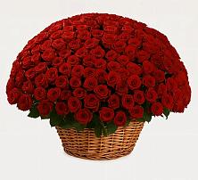 Премиум букет из: Розы в Танцырее